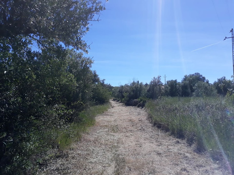 caminhosavecasta 24