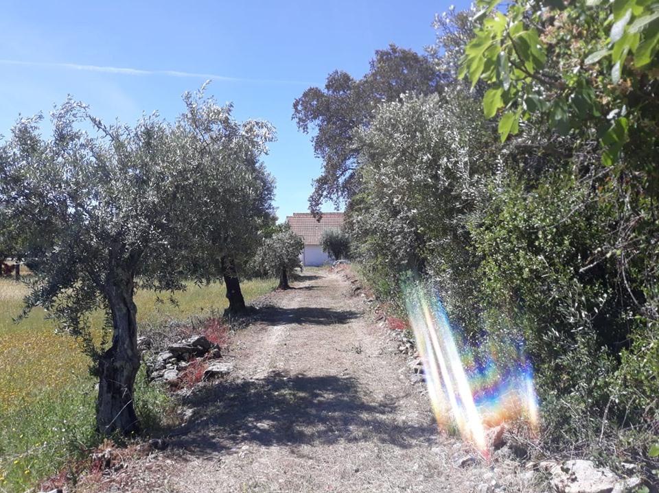 caminhosavecasta 25