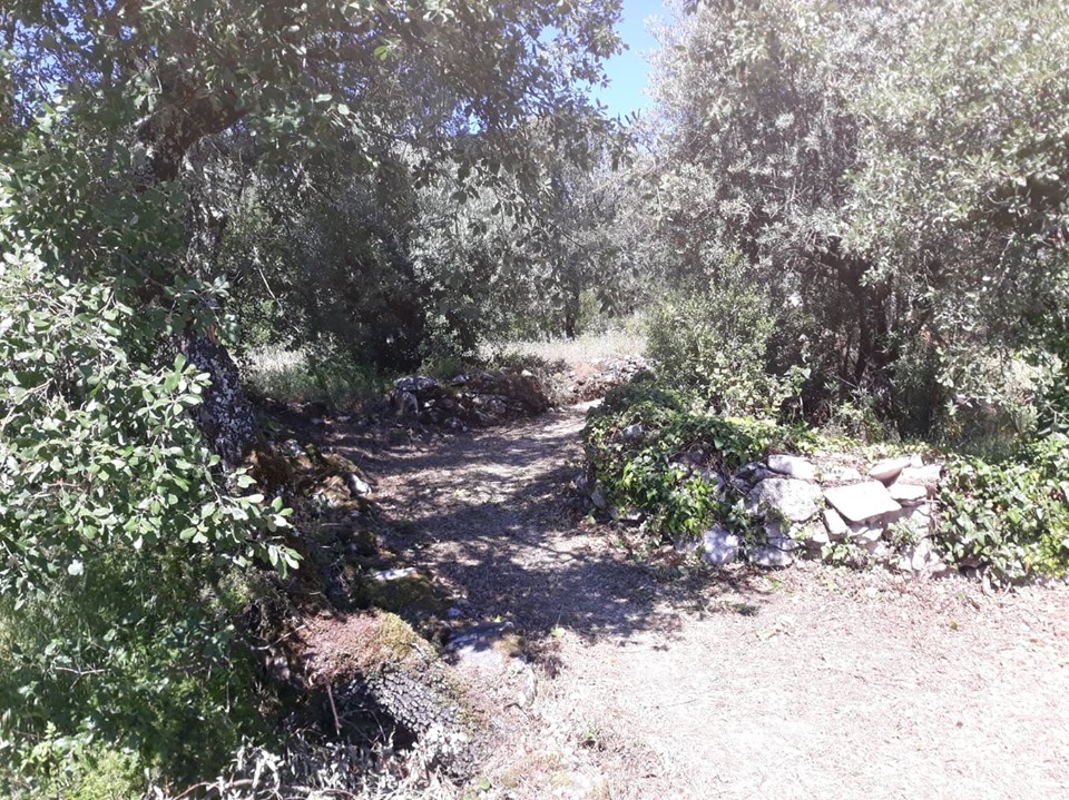 caminhosavecasta 26