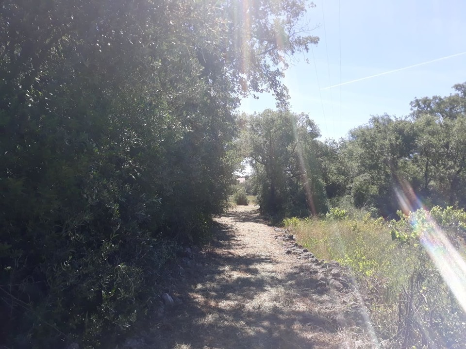 caminhosavecasta 27