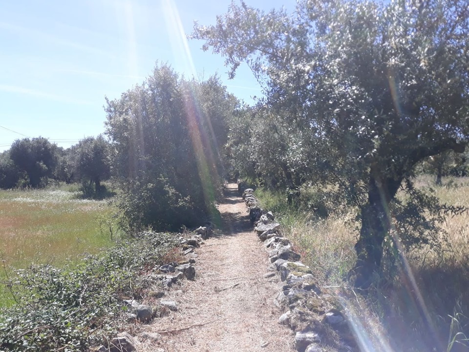 caminhosavecasta 30