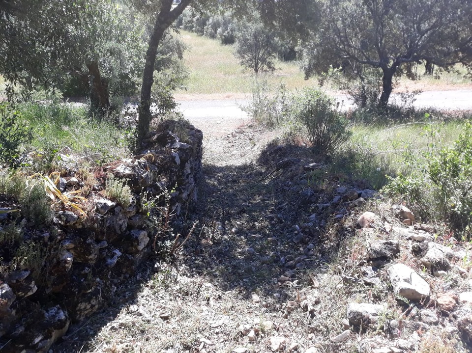 caminhosavecasta 31