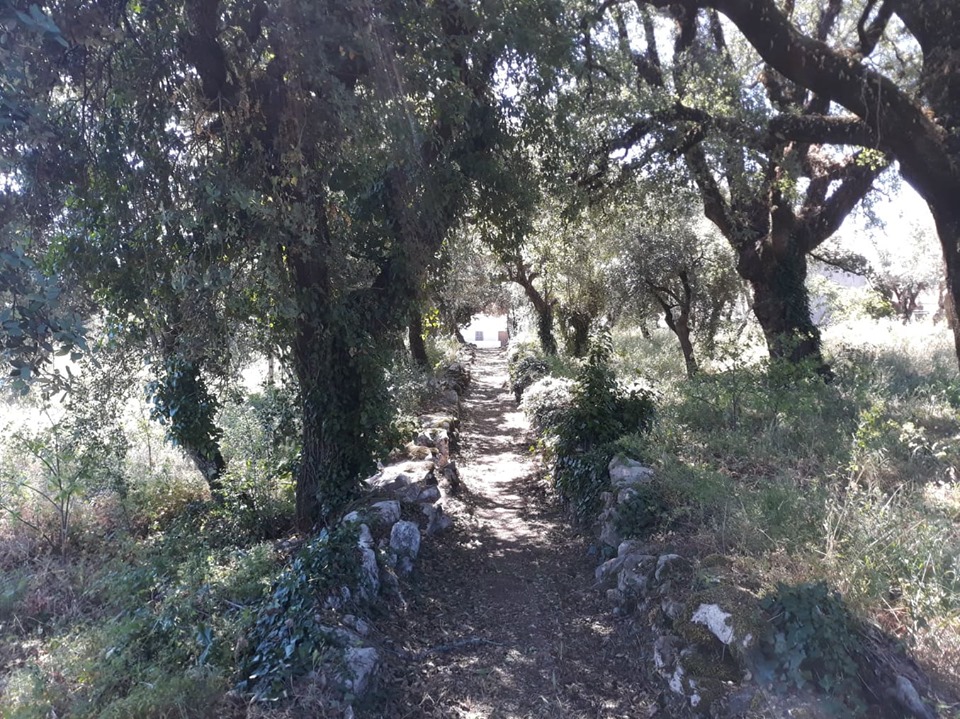 caminhosavecasta 33