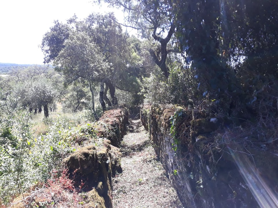 caminhosavecasta 34