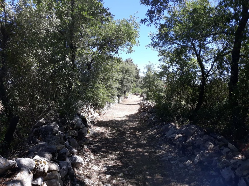 caminhosavecasta 35