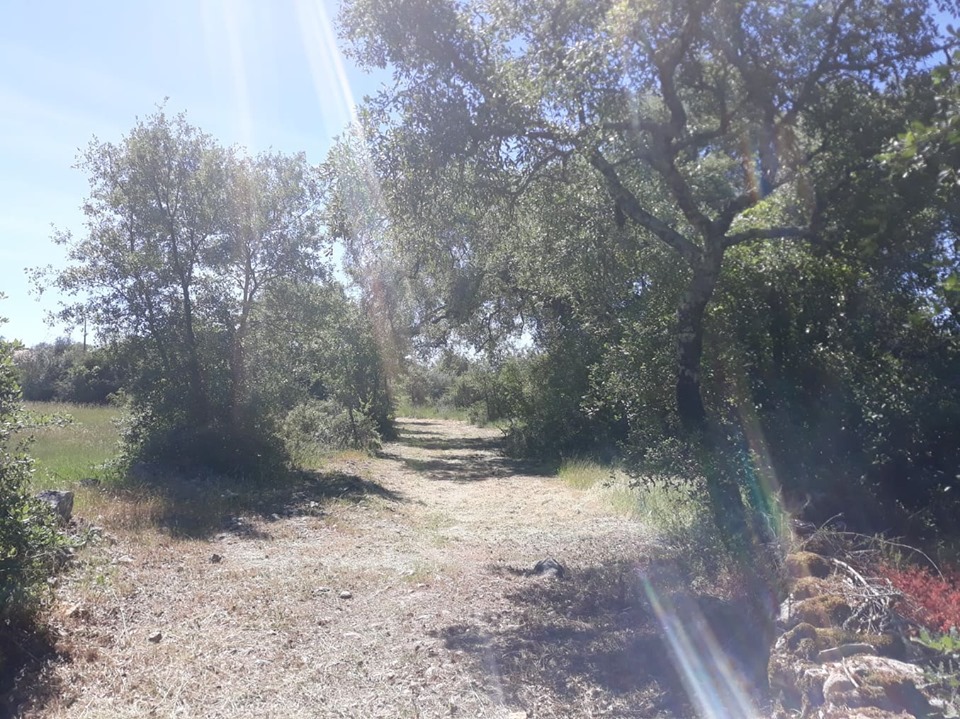 caminhosavecasta 36