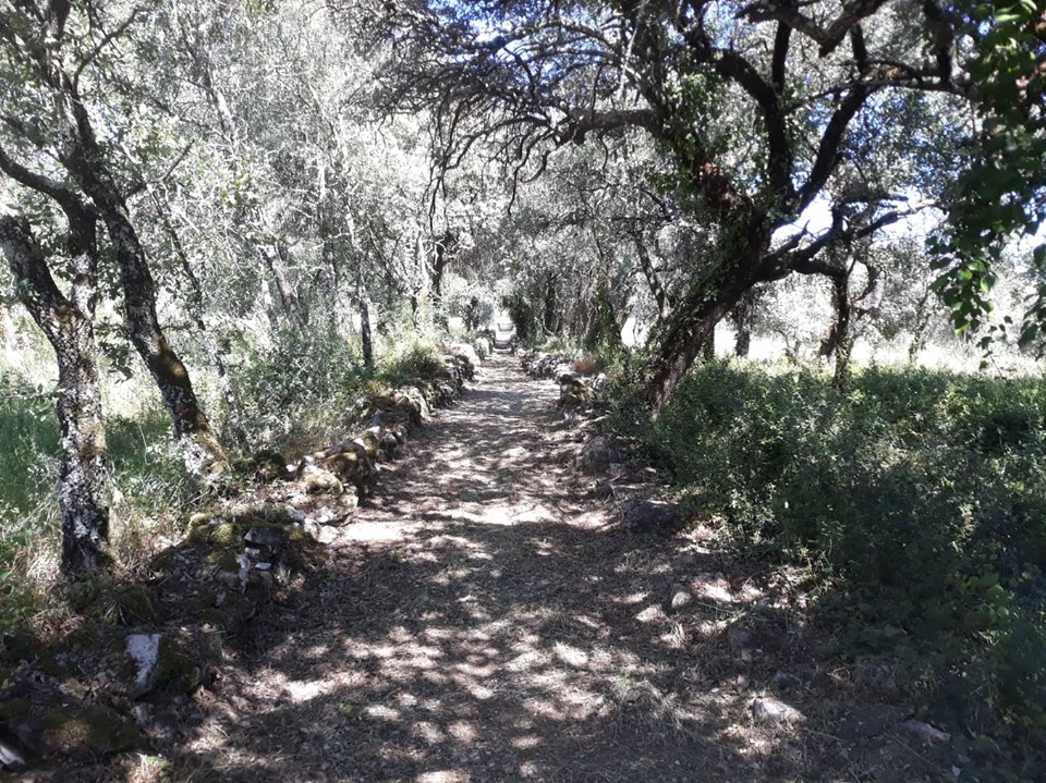 caminhosavecasta 37