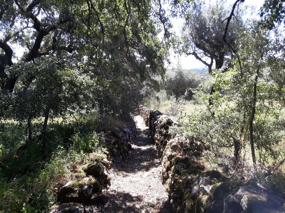 caminhosavecasta 38