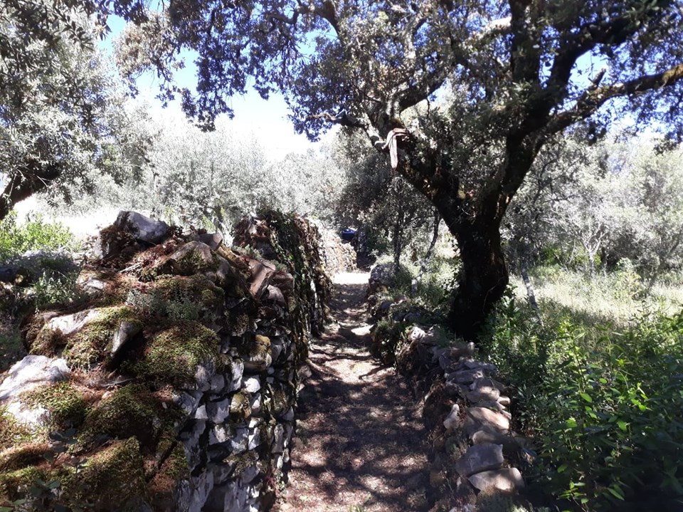 caminhosavecasta 39