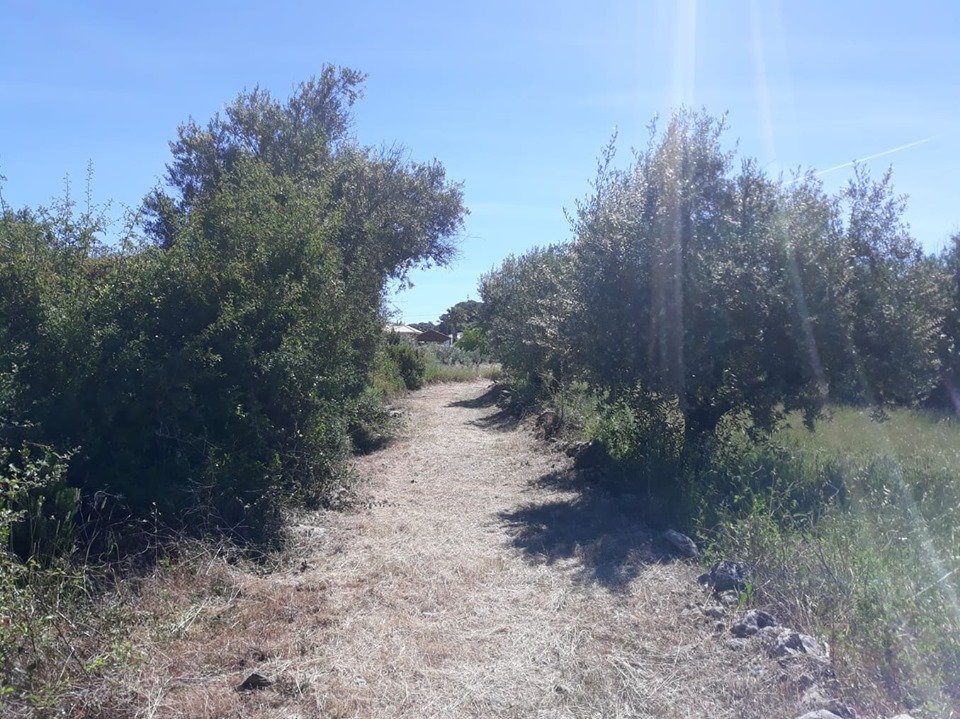 caminhosavecasta 40