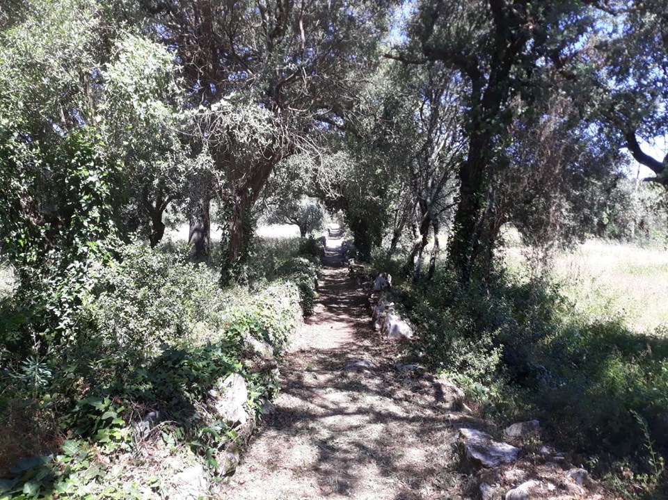 caminhosavecasta 41
