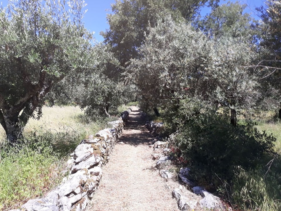 caminhosavecasta 42