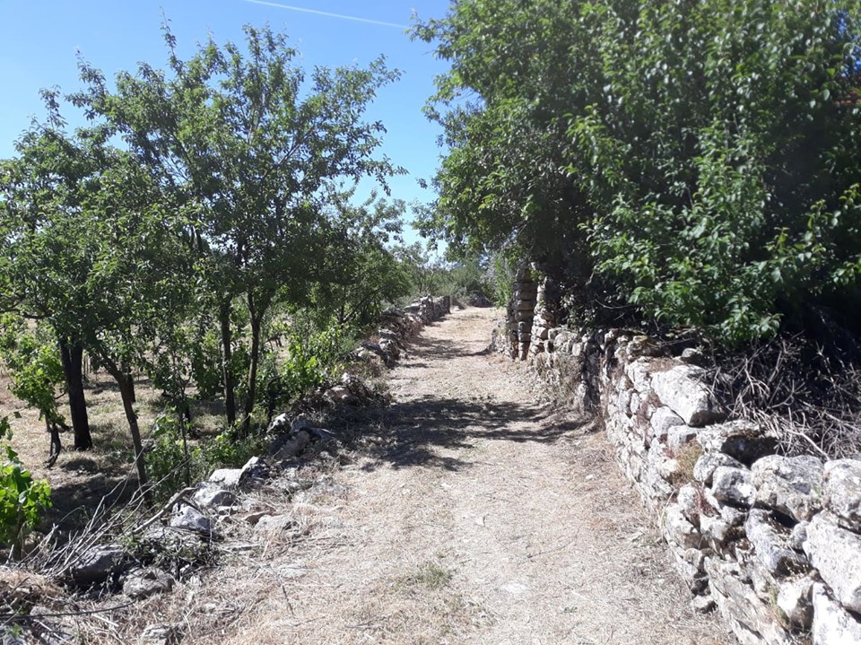 caminhosavecasta 43