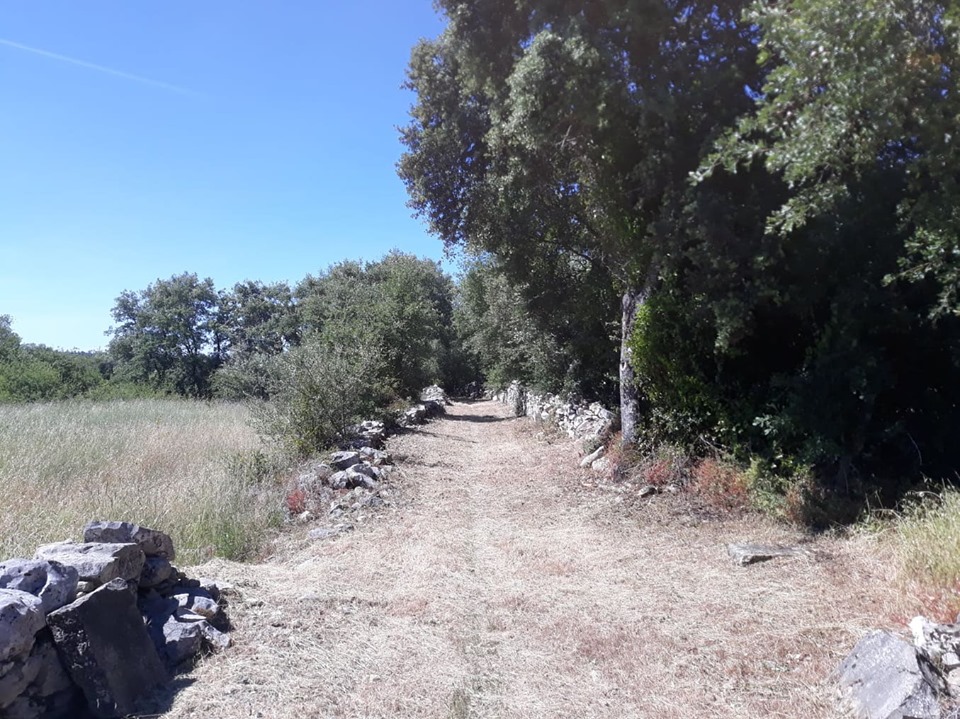caminhosavecasta 44