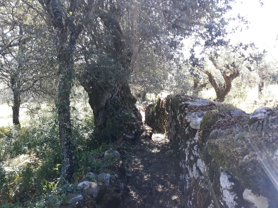 caminhosavecasta 45