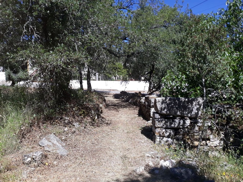 caminhosavecasta 46