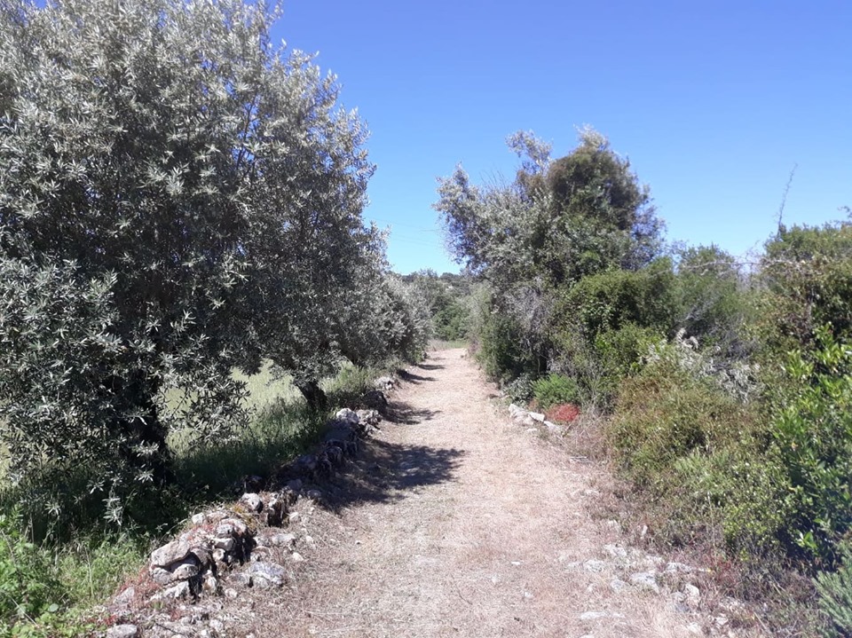 caminhosavecasta 47