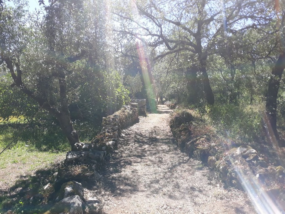 caminhosavecasta 5