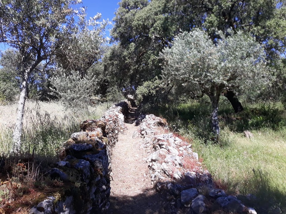 caminhosavecasta 6