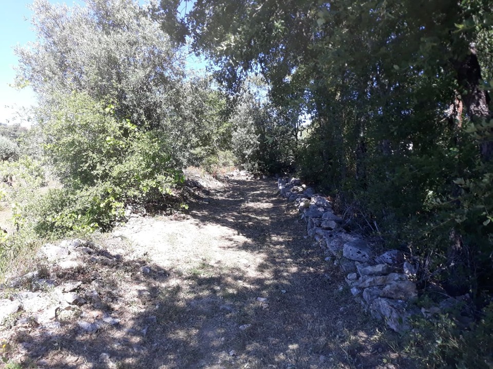 caminhosavecasta 7