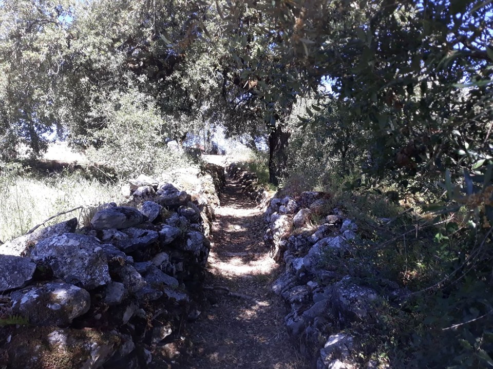 caminhosavecasta 8