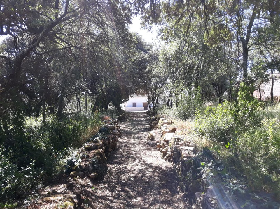 caminhosavecasta 9