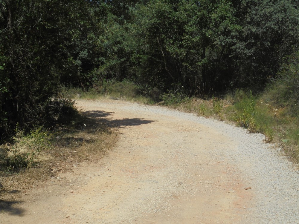 rua gamita 1