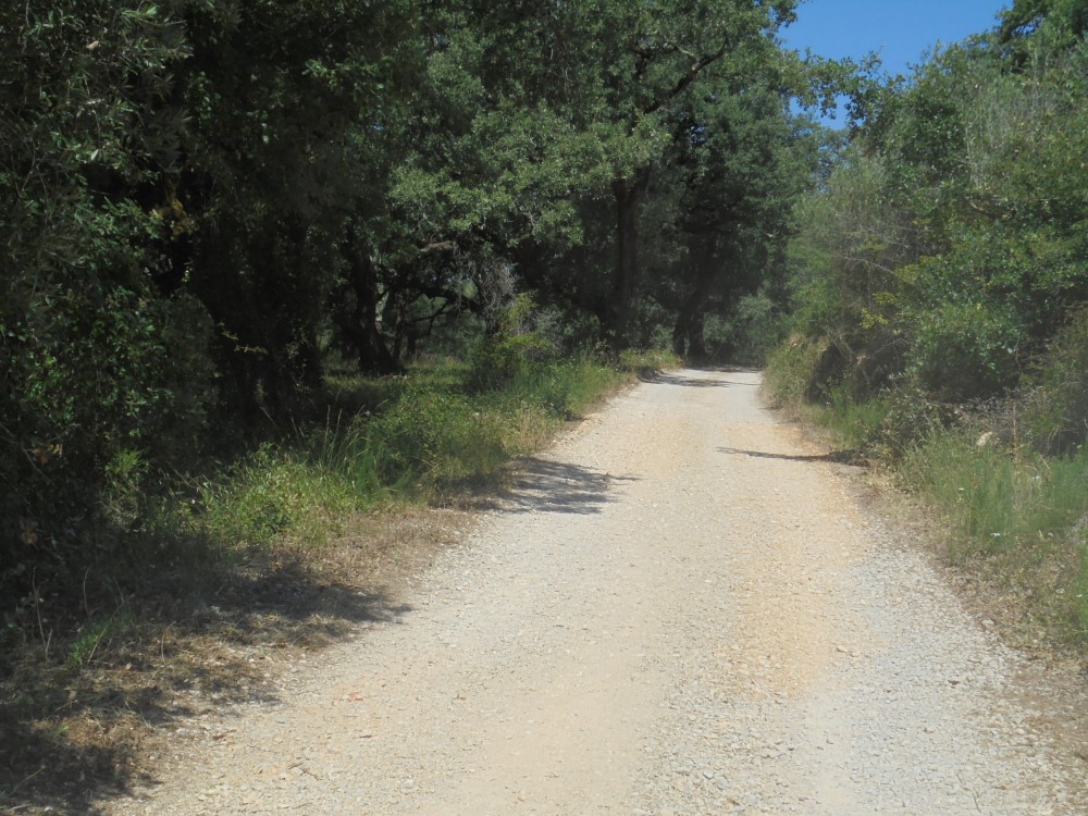 rua gamita 8