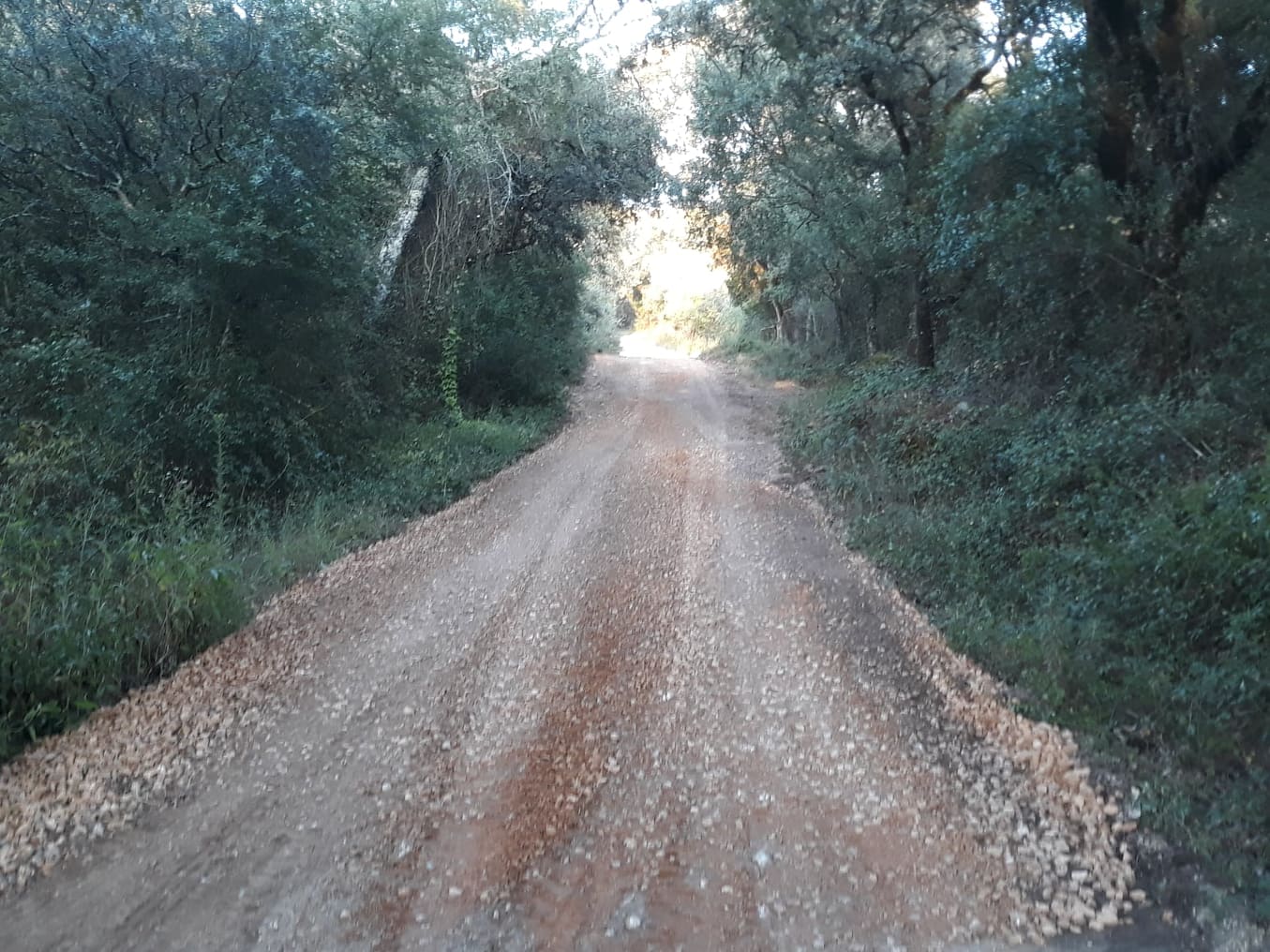 ruacovamoinho 10