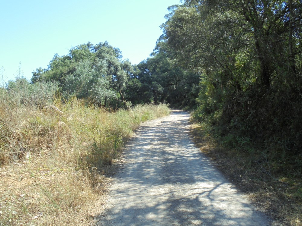 ruacovamoinho 14