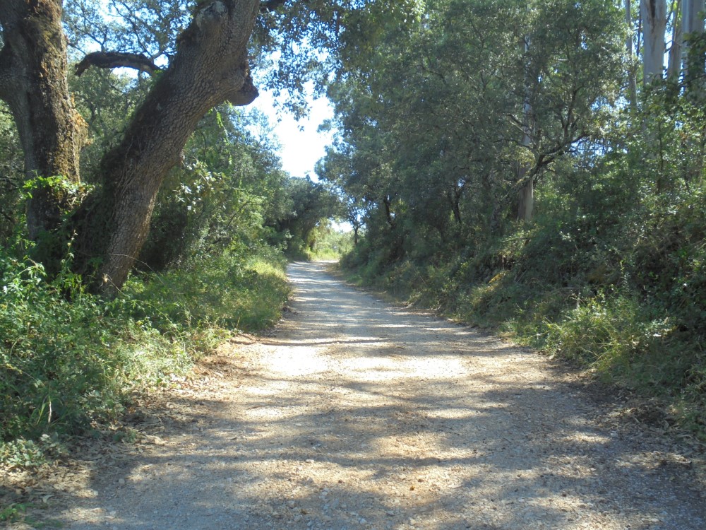 ruacovamoinho 15