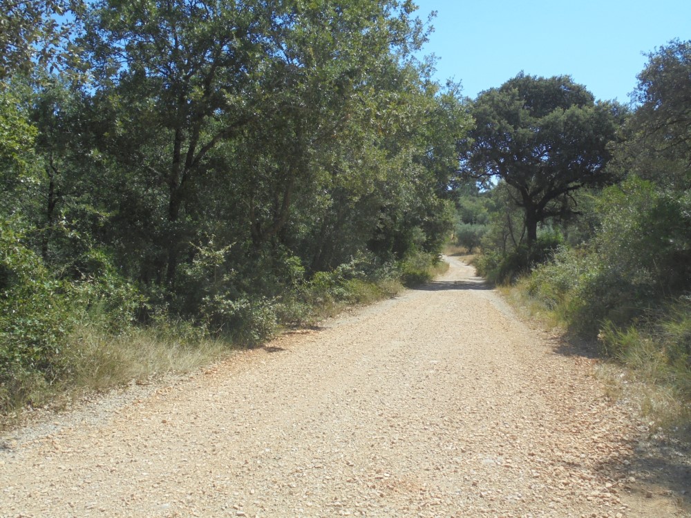 ruacovamoinho 16