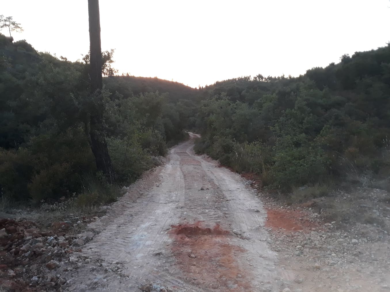 ruadascortes 1