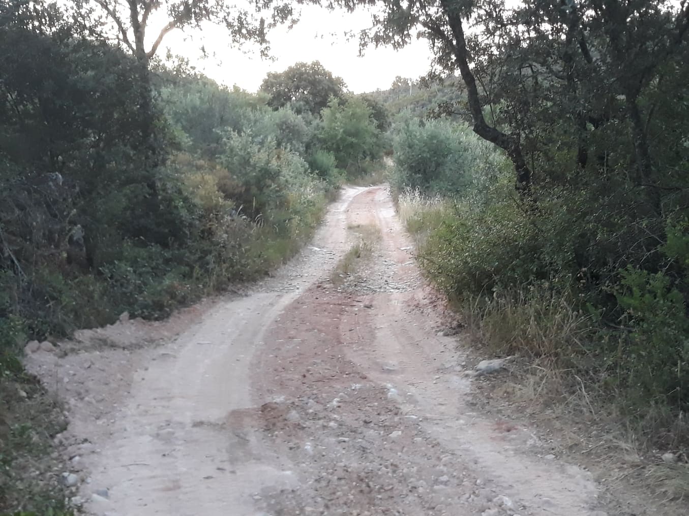 ruadascortes 10