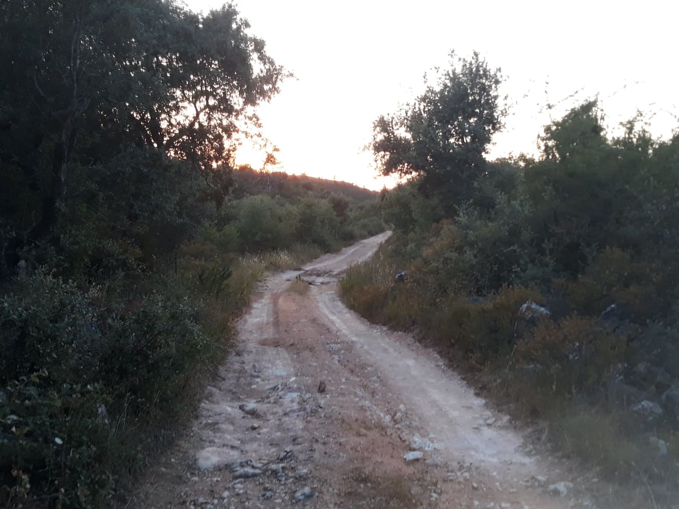 ruadascortes 18