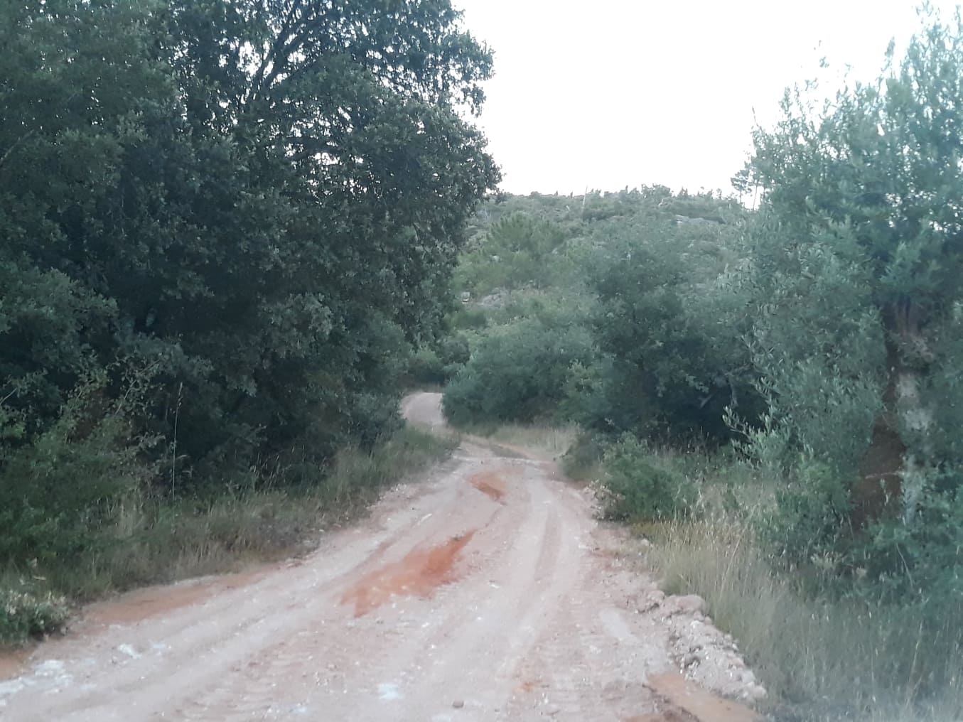 ruadascortes 5
