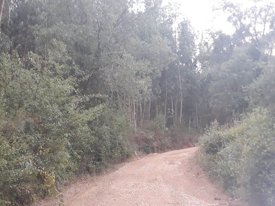 ruadoribeiro agagos 11