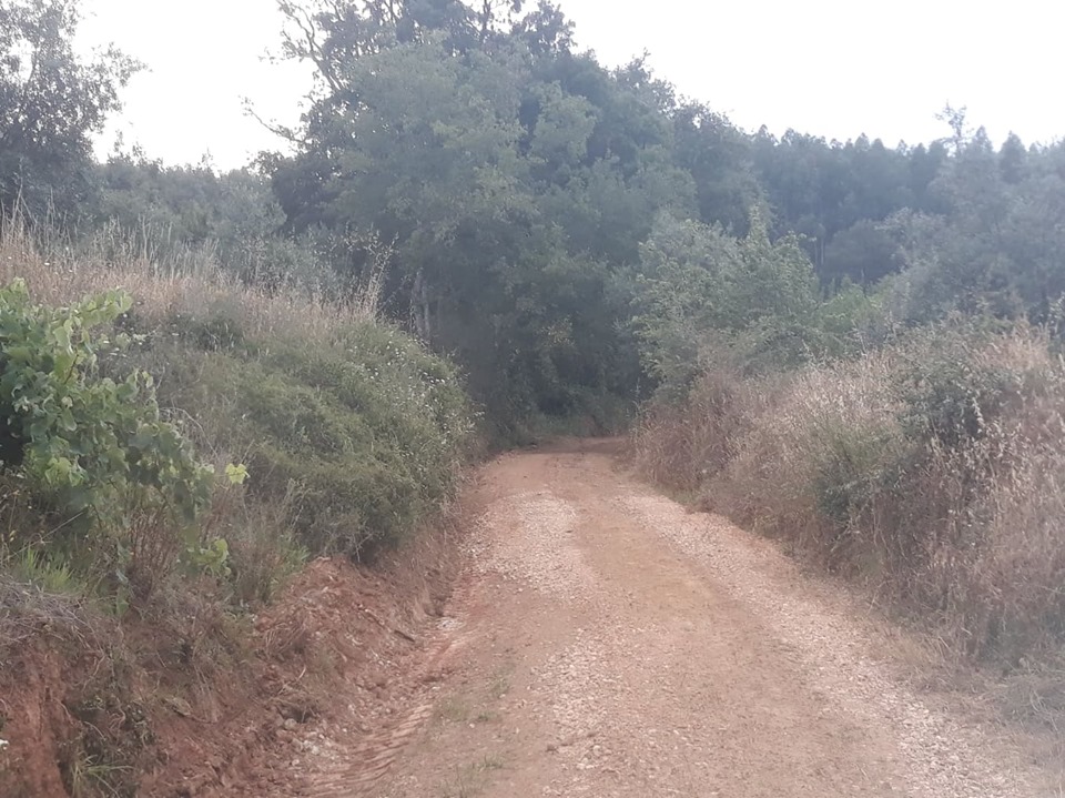 ruadoribeiro agagos 4