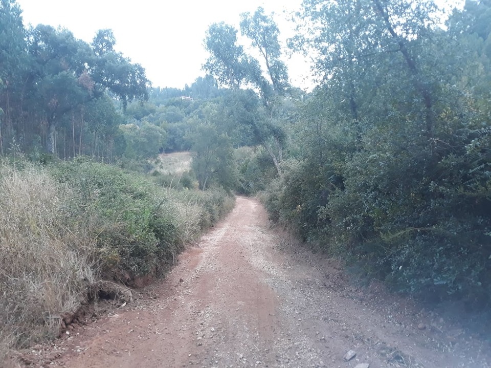 ruadoribeiro agagos 8
