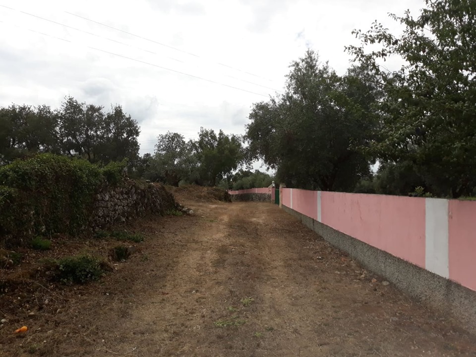 azinhadalapa 29