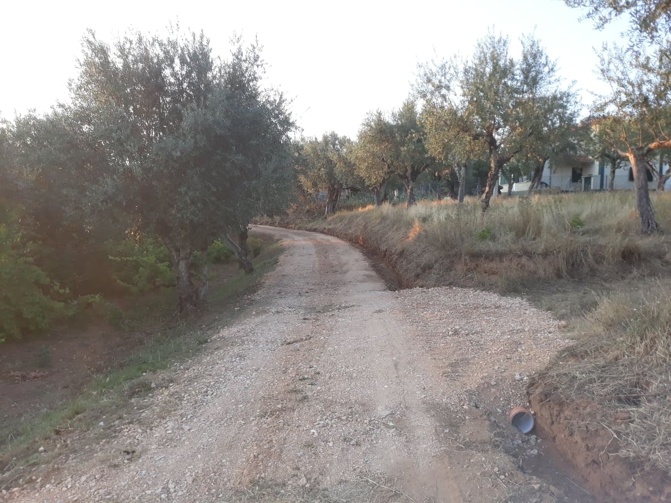 caminhotelhadas 1