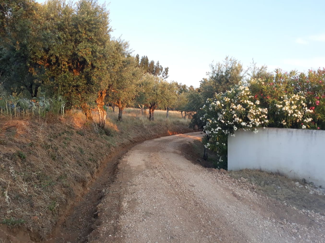 caminhotelhadas 2