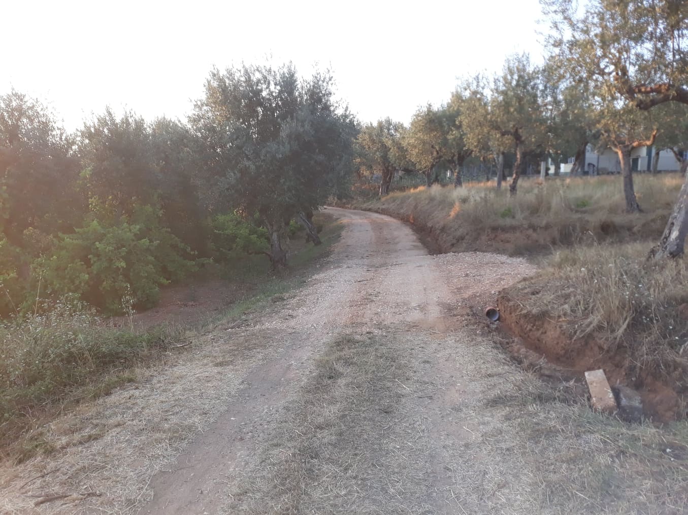 caminhotelhadas 5