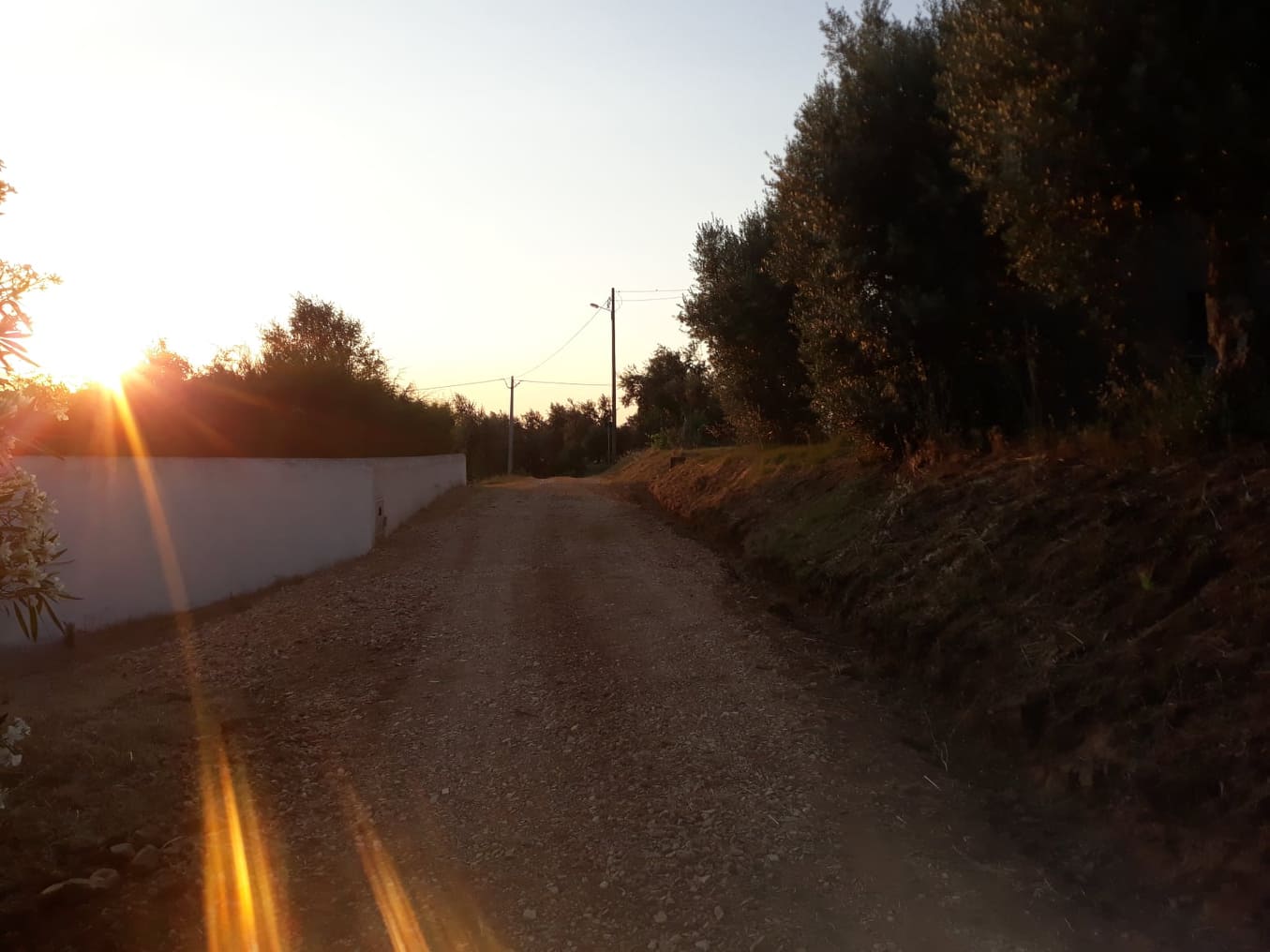caminhotelhadas 7