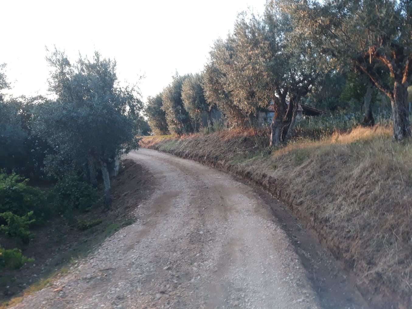 caminhotelhadas 8