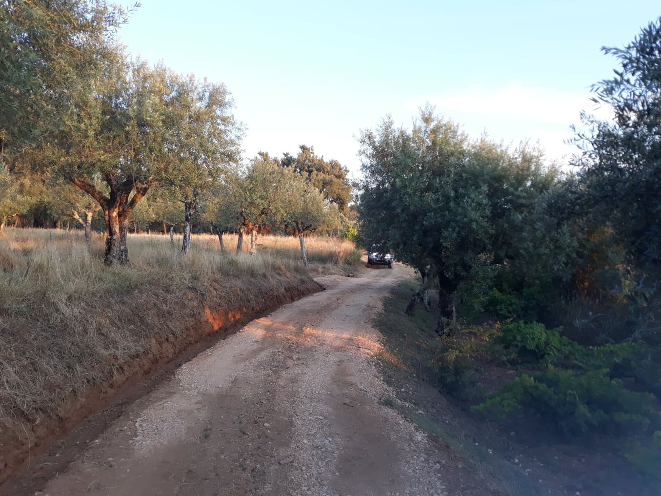 caminhotelhadas 9