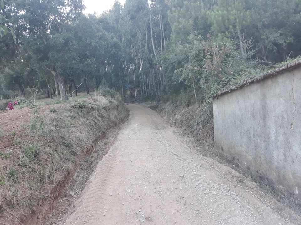 rbijota 1