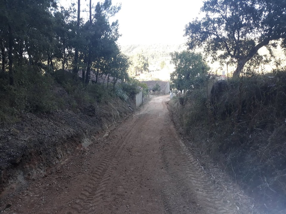 rbijota 12