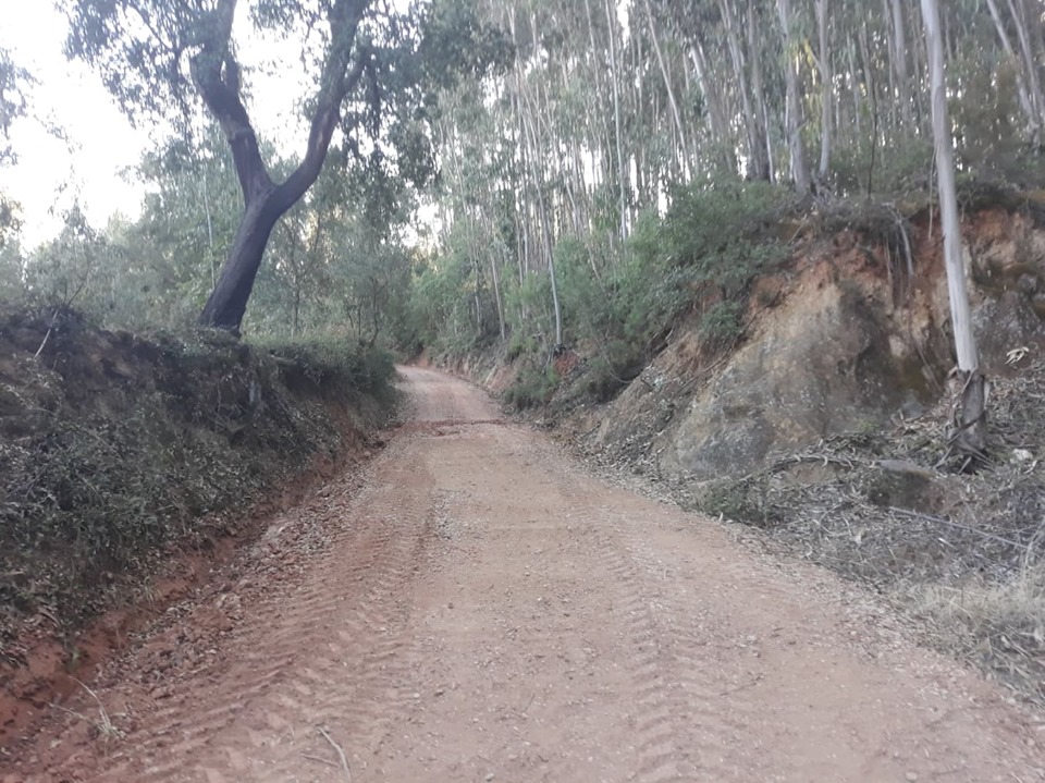 rbijota 3