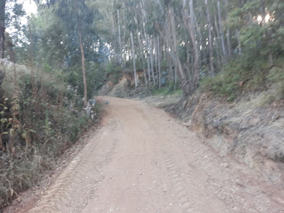 rbijota 7